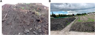 Soil Microbiome Structure and Function in Ecopiles Used to Remediate Petroleum-Contaminated Soil